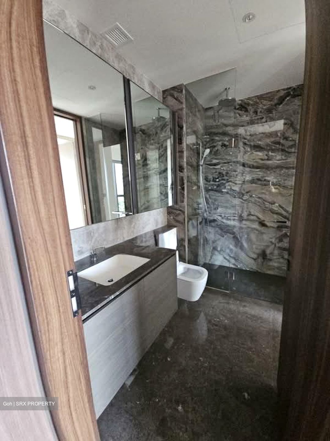 Leedon Green (D10), Condominium #587240111